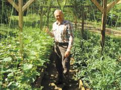 James Kinnard in his MIttleider Gardening project
